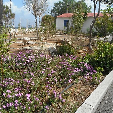 Mandorla Apartments ラルドス エクステリア 写真